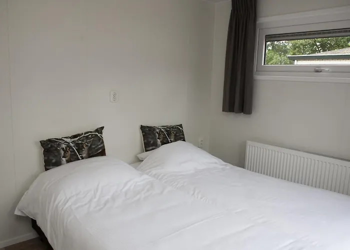 6 Pers. Veluwevilla Villa